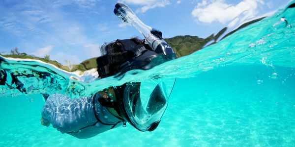 シュノーケリング