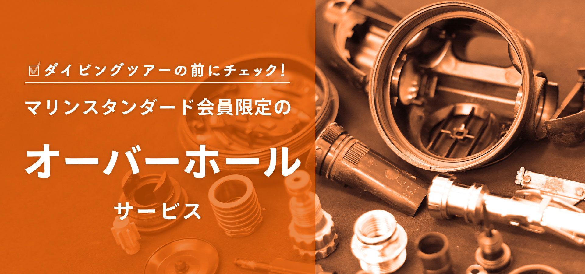 オーバーホール