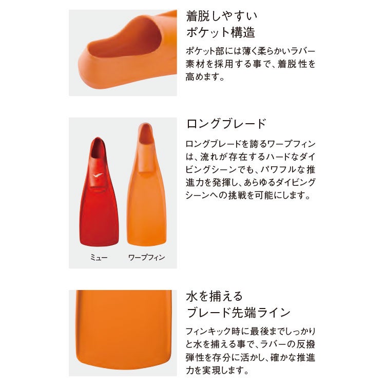 カラー