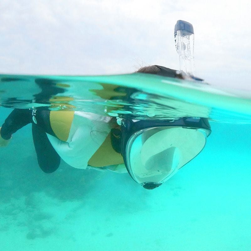 シュノーケルマスクフルフェイスセットHeleiWahoヘレイワホドライシュノーケル2点シュノーケリングセット