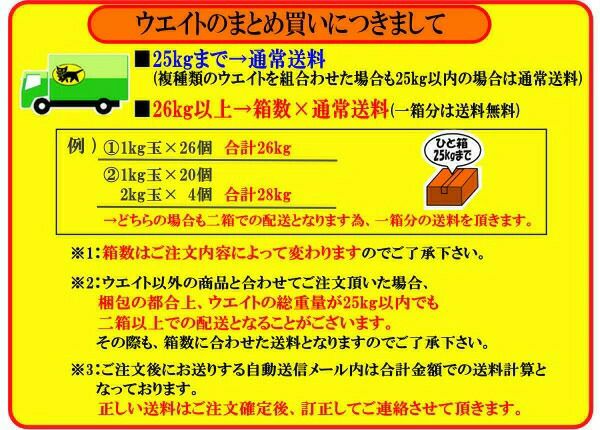 ウエイトGULL/ガルカラーウエイト2kgGG-4691Bスノーケリングダイビングアウトドアウエイトマリンスポーツスイム